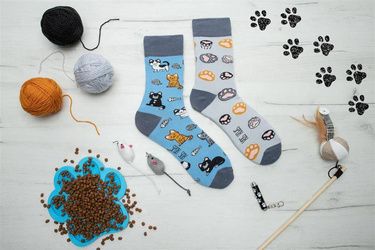 Skarpety Spox Sox Koty 36-46 multicolor