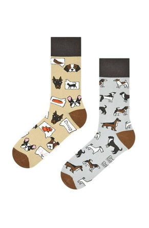 Skarpety Spox Sox Psy 36-46 multicolor